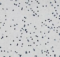 Линолеум Forbo Sphera Ec 450017 ivory фото 1 | FLOORDEALER